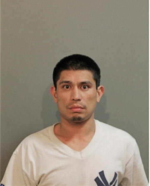 JOAN T GARCIA, Cook County, Illinois