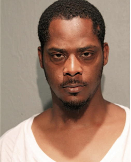 MICHAEL P HAYES, Cook County, Illinois