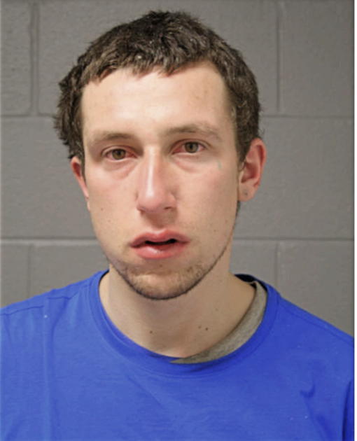 DAVID M LICHAJ, Cook County, Illinois