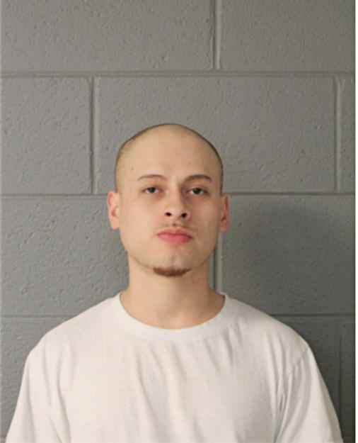 FABIAN R MAGDALENO, Cook County, Illinois