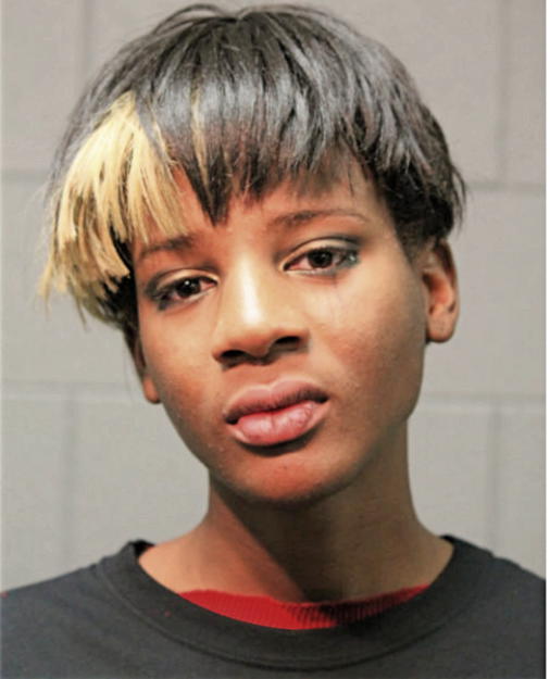 KAMILLA R MCMILLER, Cook County, Illinois