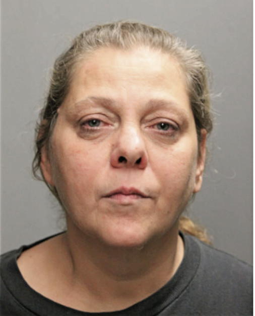 DANA M NANZ, Cook County, Illinois