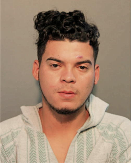 CRISTHIAN J PEREZ ESCOBAR, Cook County, Illinois