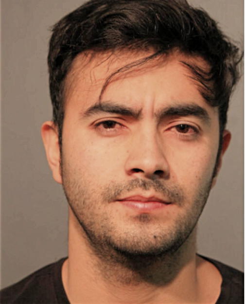JUAN D PIRABAN, Cook County, Illinois