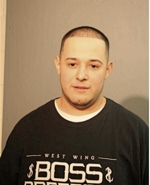 PETER D PUENTE, Cook County, Illinois