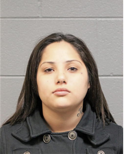 SUSETTE REYNOSA, Cook County, Illinois