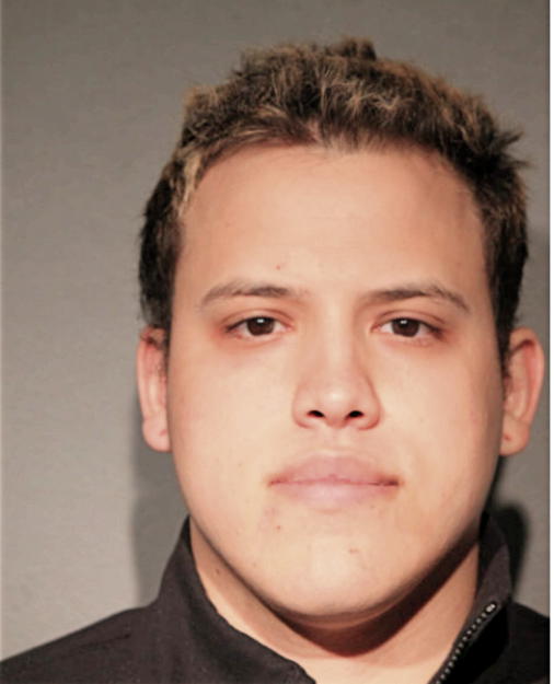 LUIS SEGOVIANO, Cook County, Illinois