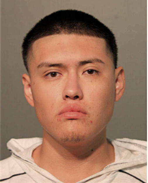 DANIEL VARGAS, Cook County, Illinois