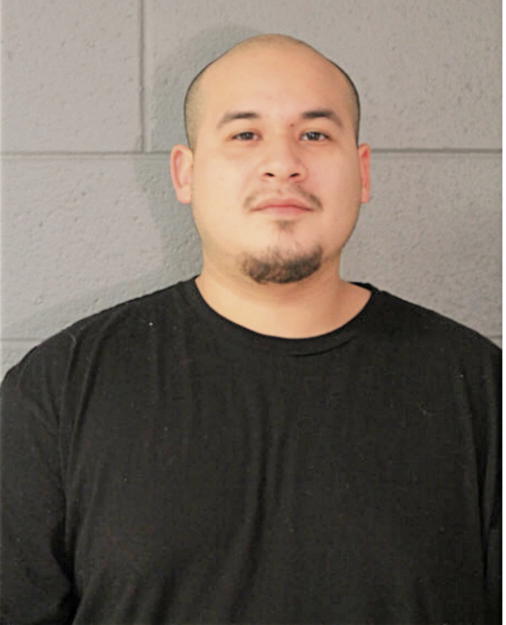 ALBERTO VEGA, Cook County, Illinois