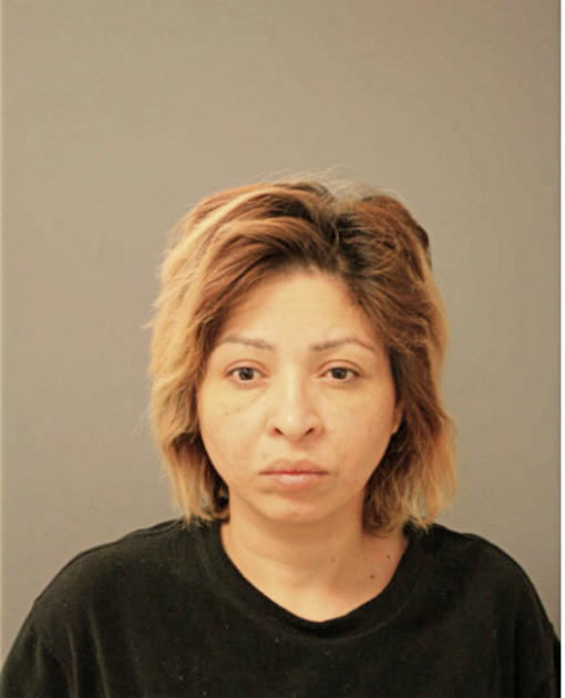 ERIKA Y VIRAMONTES, Cook County, Illinois