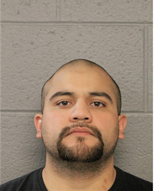 CARLOS ZELAYA, Cook County, Illinois
