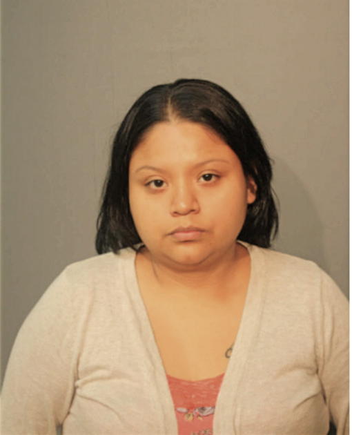 IRMA L ALVAREZ, Cook County, Illinois