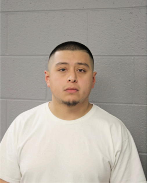 JUAN AMAYA, Cook County, Illinois