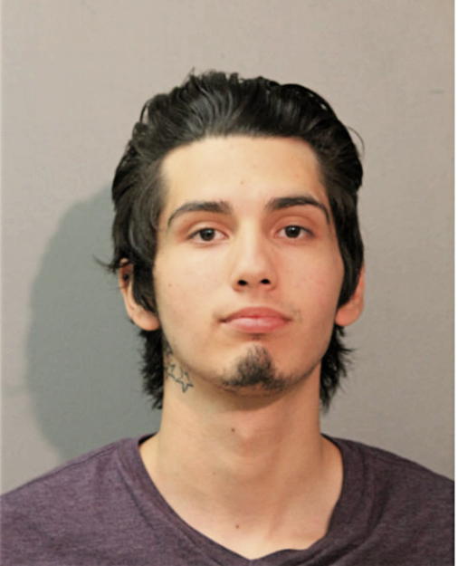 CHRISTIAN A ANGUIANO, Cook County, Illinois