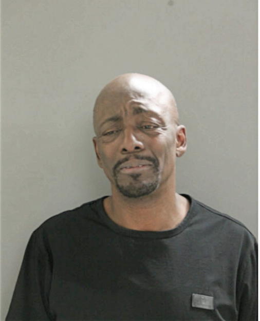 VICTOR J BRINSON, Cook County, Illinois
