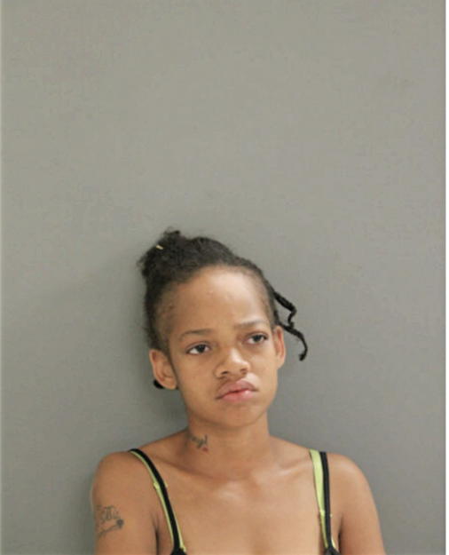 ANDREA E BROWN, Cook County, Illinois