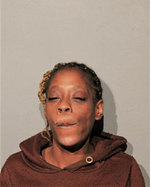 ANDREA L CHAPEL, Cook County, Illinois