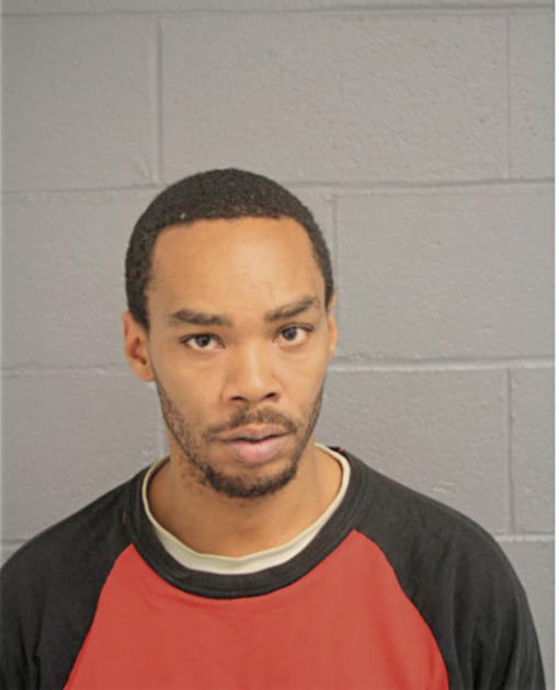 RYAN B CLEMONS, Cook County, Illinois