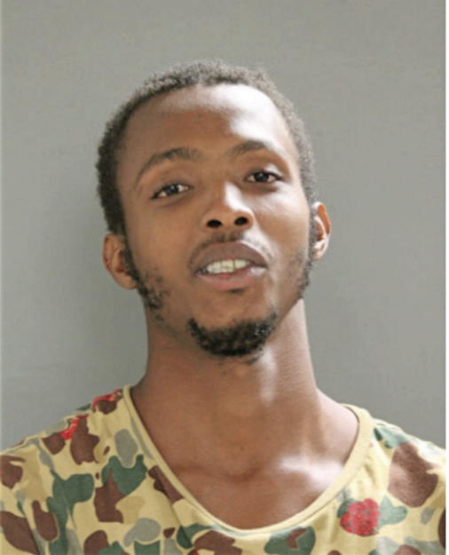 MARTISE D BARNES, Cook County, Illinois