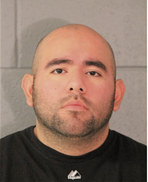 GUILLERMO DOMINGUEZ, Cook County, Illinois