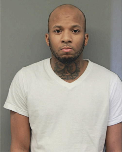 RODNEY L FLAX, Cook County, Illinois