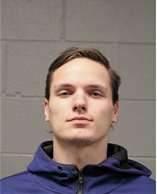 DILLON J HALLAM, Cook County, Illinois