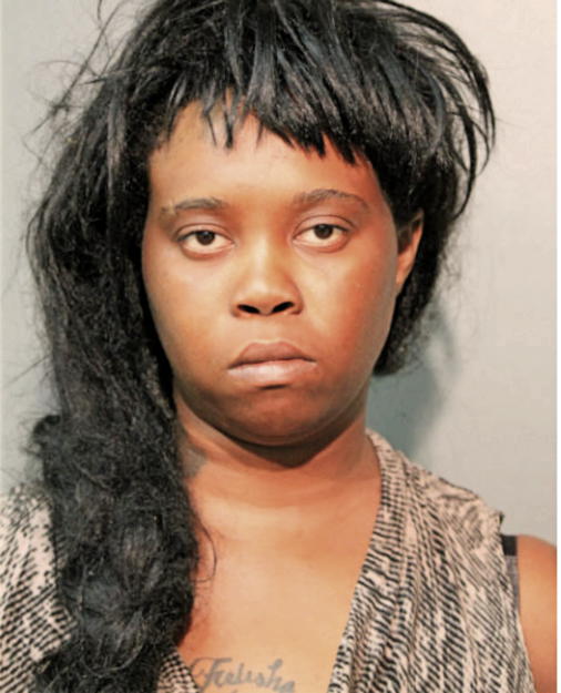 FELISHA L HAWKINS, Cook County, Illinois