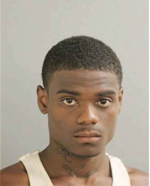 KEVIN D JOHNSON, Cook County, Illinois