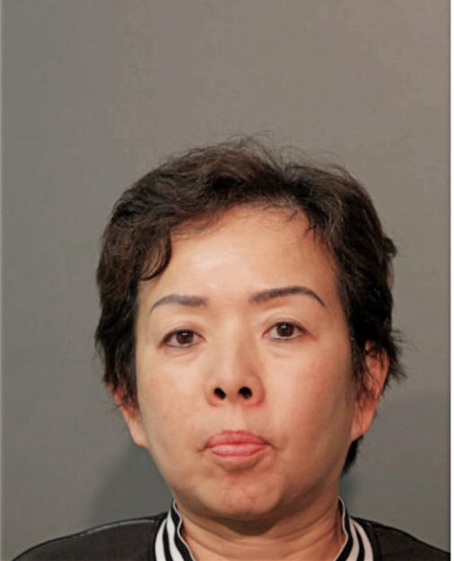 CHUNG M LIPOON, Cook County, Illinois