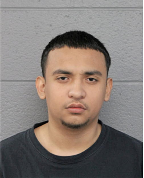 ALEX MARTINEZ, Cook County, Illinois