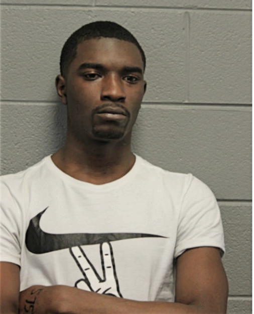 NICCO J MCMICHAEL, Cook County, Illinois