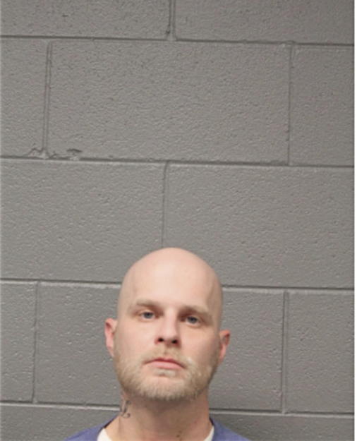 STEVEN L MEADOWS, Cook County, Illinois