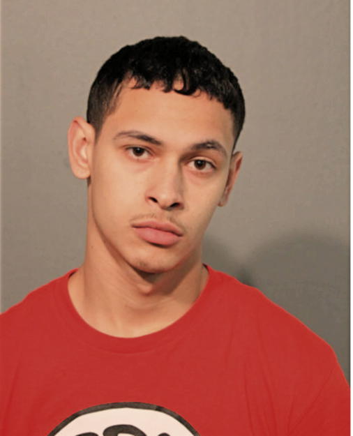 GABRIEL L MEDINA, Cook County, Illinois
