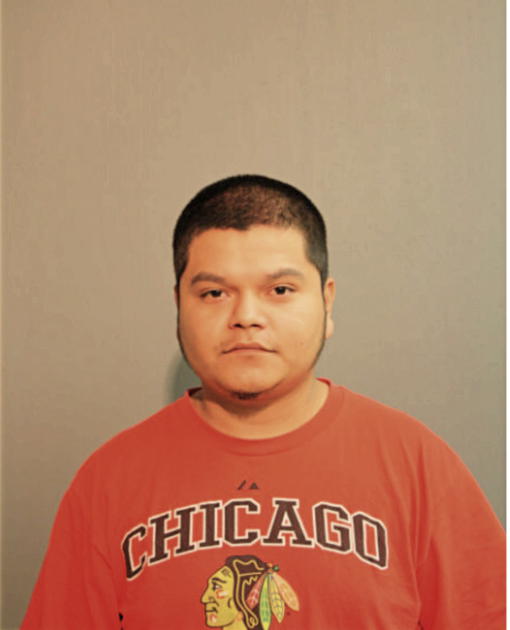 ISAEL OCHOA, Cook County, Illinois