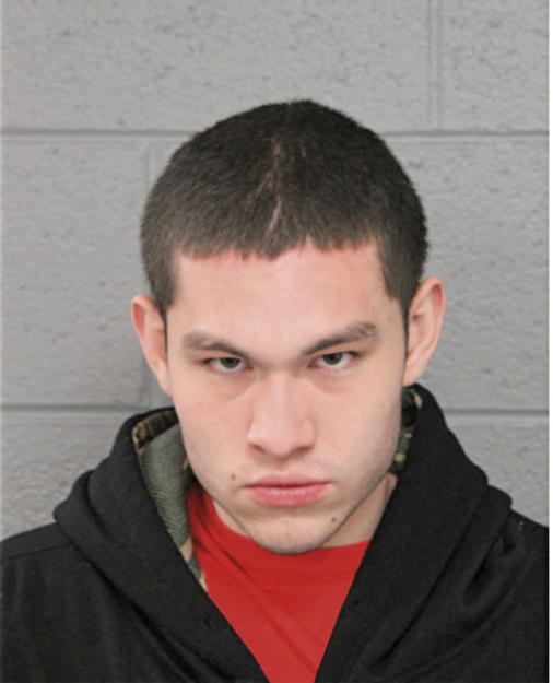 FABIAN OJEDA, Cook County, Illinois