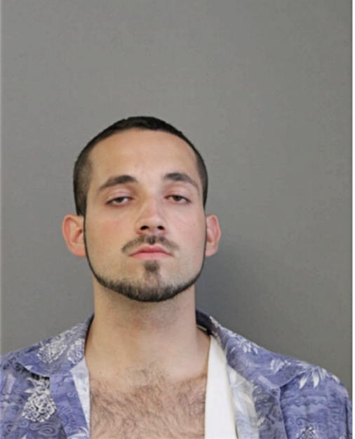 ANDREW J PAGE, Cook County, Illinois