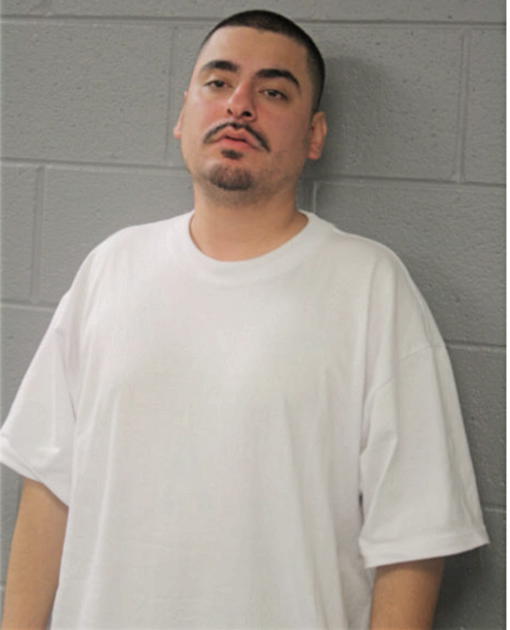 CESAR RAMOS, Cook County, Illinois