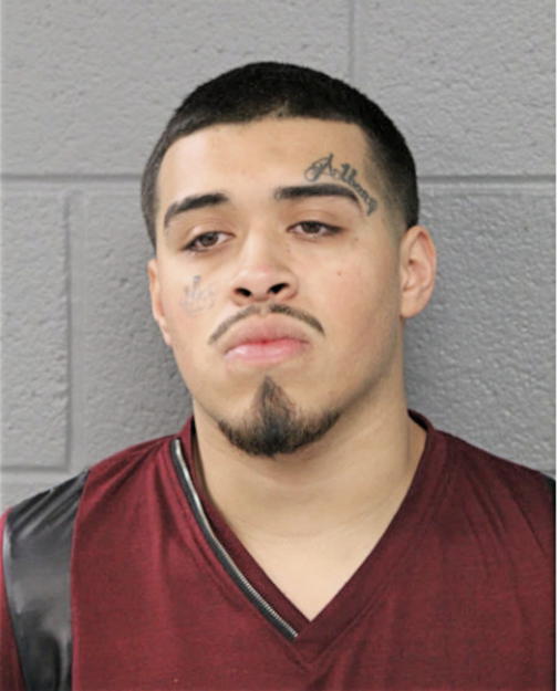 ALEXANDER TORRES, Cook County, Illinois