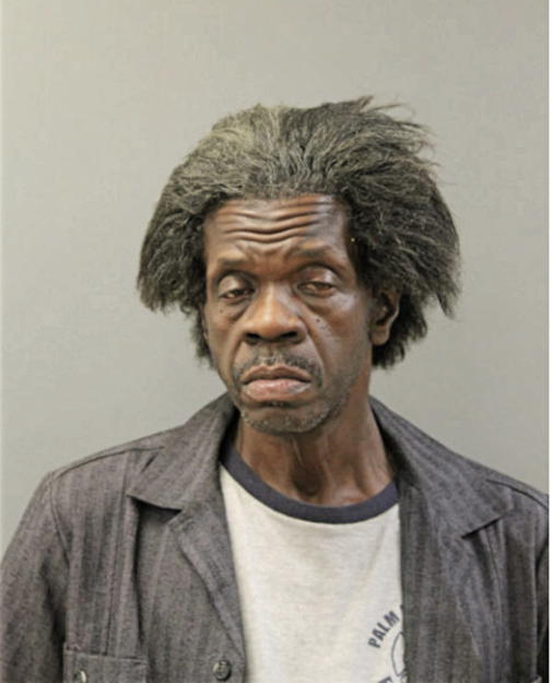 JAMIE L TURNER, Cook County, Illinois