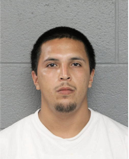 JUAN CARLOS VILLAGRANA APARICIO, Cook County, Illinois