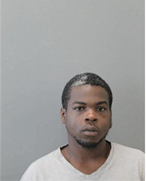 BRANDON L WILLIAMS, Cook County, Illinois