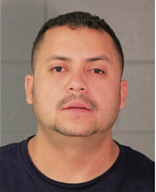 LUIS E ANGUIANO, Cook County, Illinois