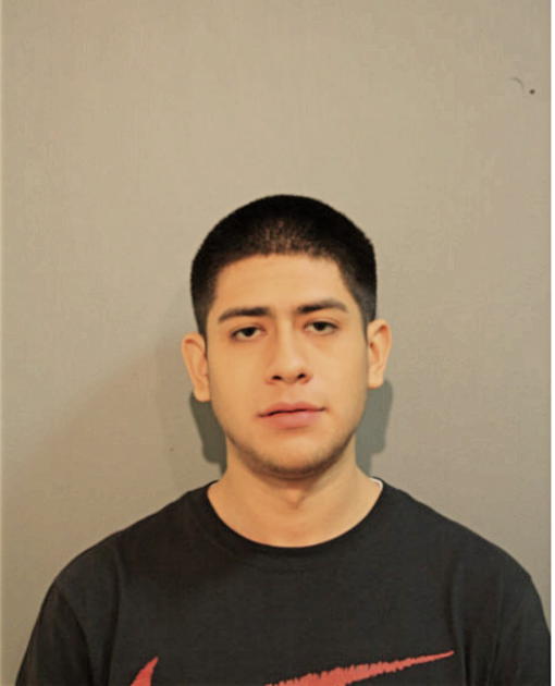 ROBERTO A CHAVEZ, Cook County, Illinois