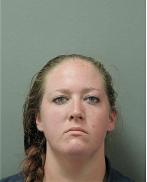 HEATHER A CONKLIN, Cook County, Illinois