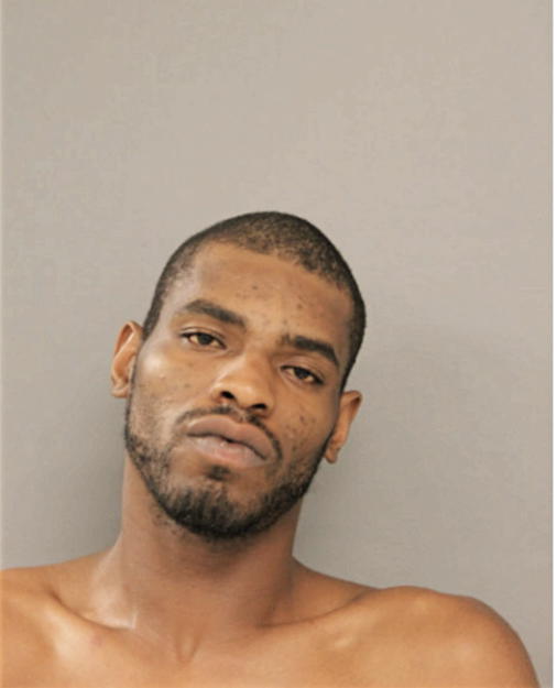 TERRANCE L DAVIS, Cook County, Illinois