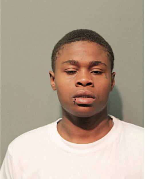 ASHLEY GALLION, Cook County, Illinois