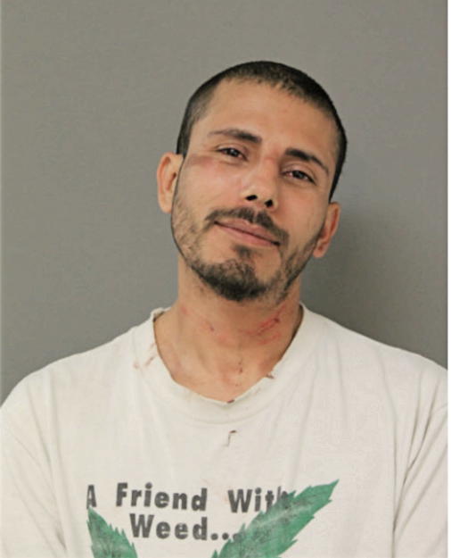 JOEL O GARCIA, Cook County, Illinois