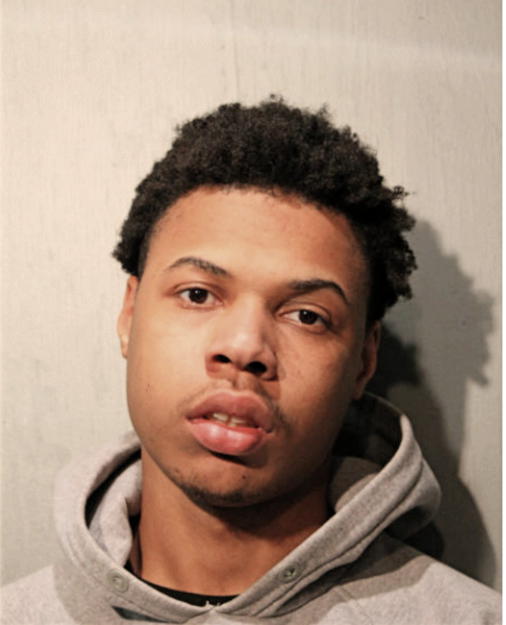 MARVIN L GIBSON-JONES, Cook County, Illinois