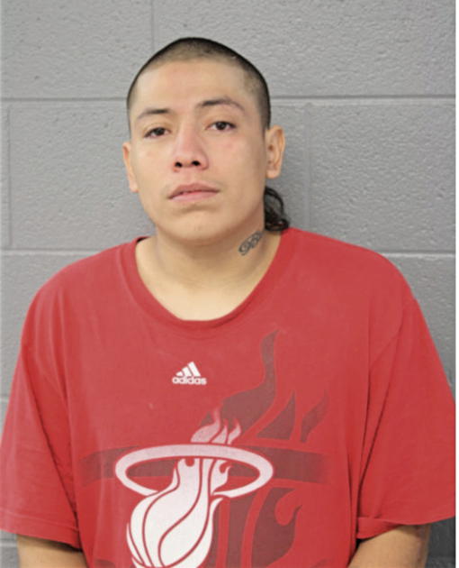 VINCENT GONZALEZ, Cook County, Illinois