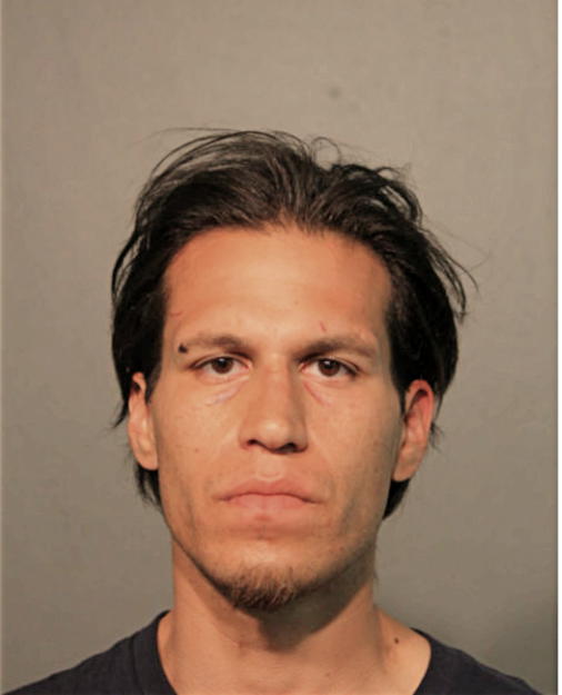 DAVID J GURNEAU, Cook County, Illinois
